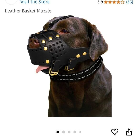 Leather dog muzzle - Picture 1 of 3